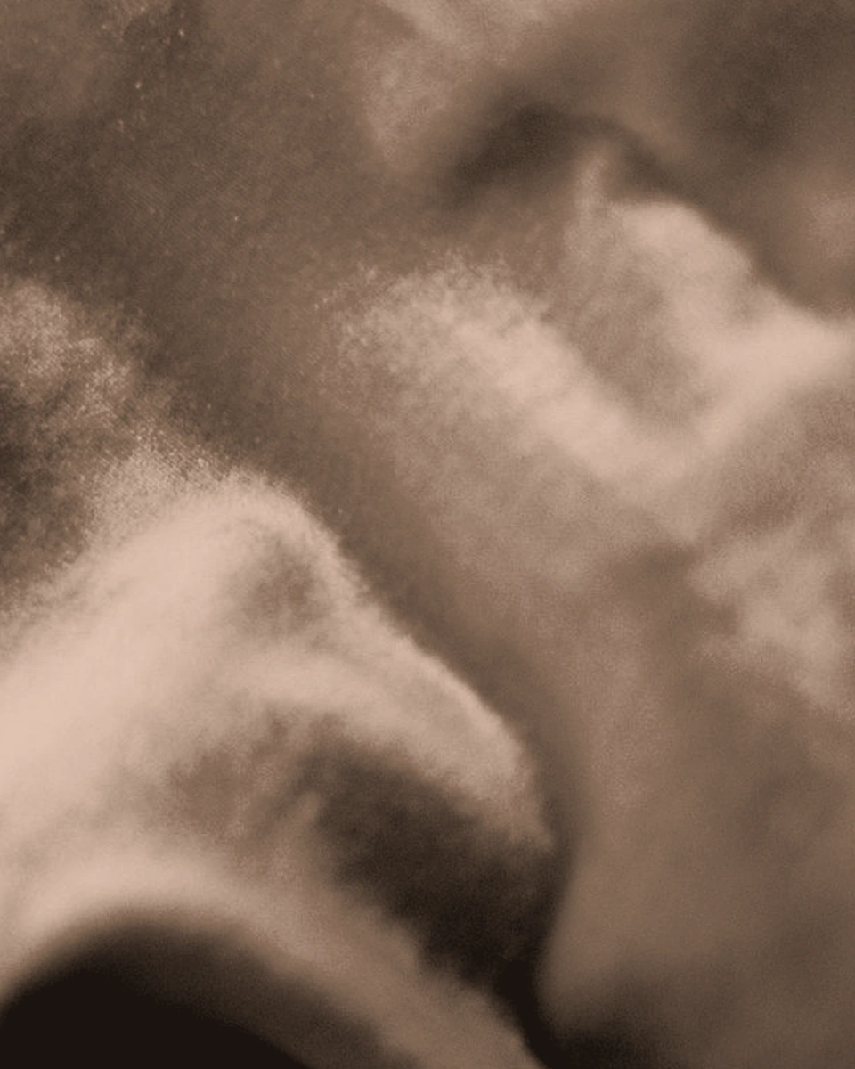 Velvet / Mocha: Digital texture close-up