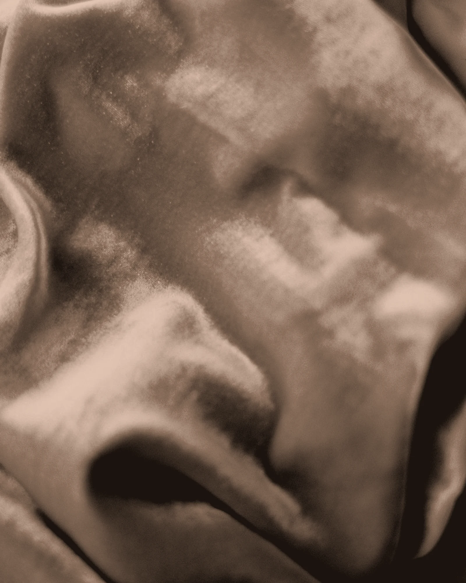 Velvet / Mocha: Digital color preview