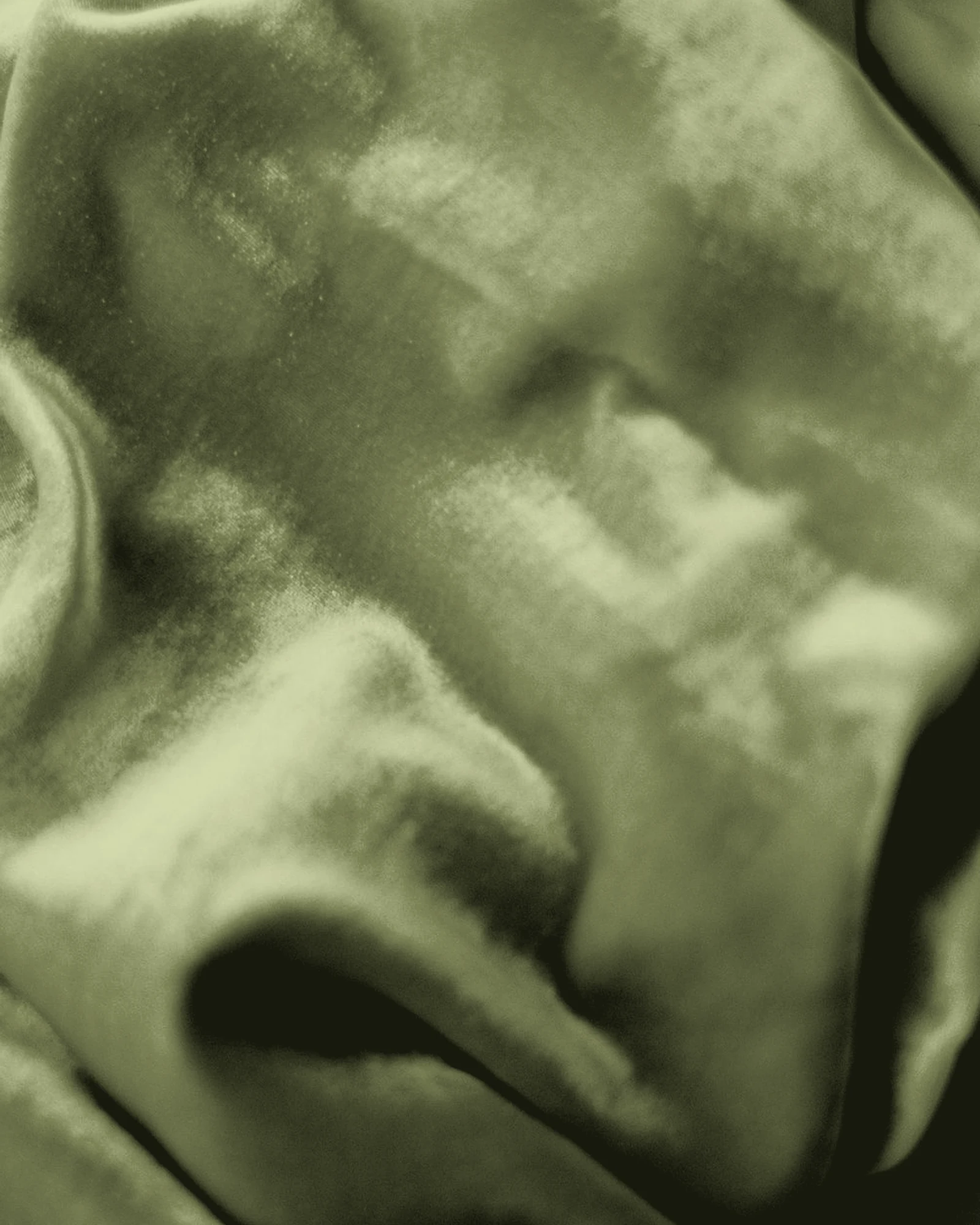 Velvet / Olive digital shade preview