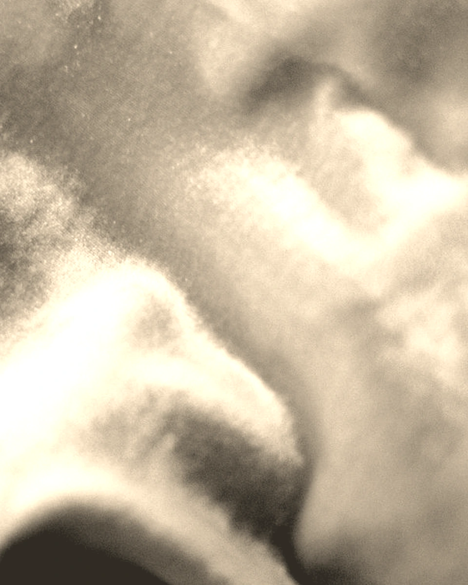 Velvet / Soft Beige: Digital texture close-up