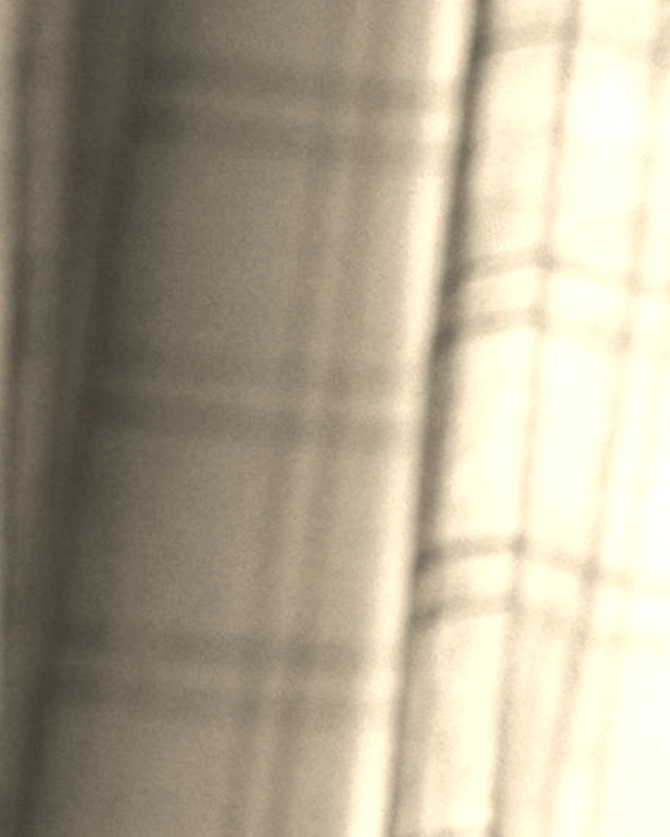 Fine Voile / Warm Beige: Digital texture close-up