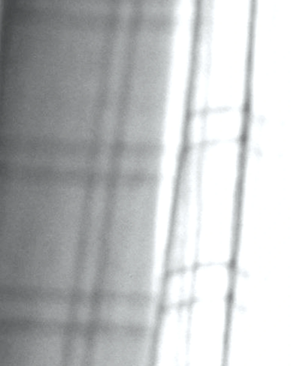 Sheer Weave / Pale Grey: Digital texture close-up