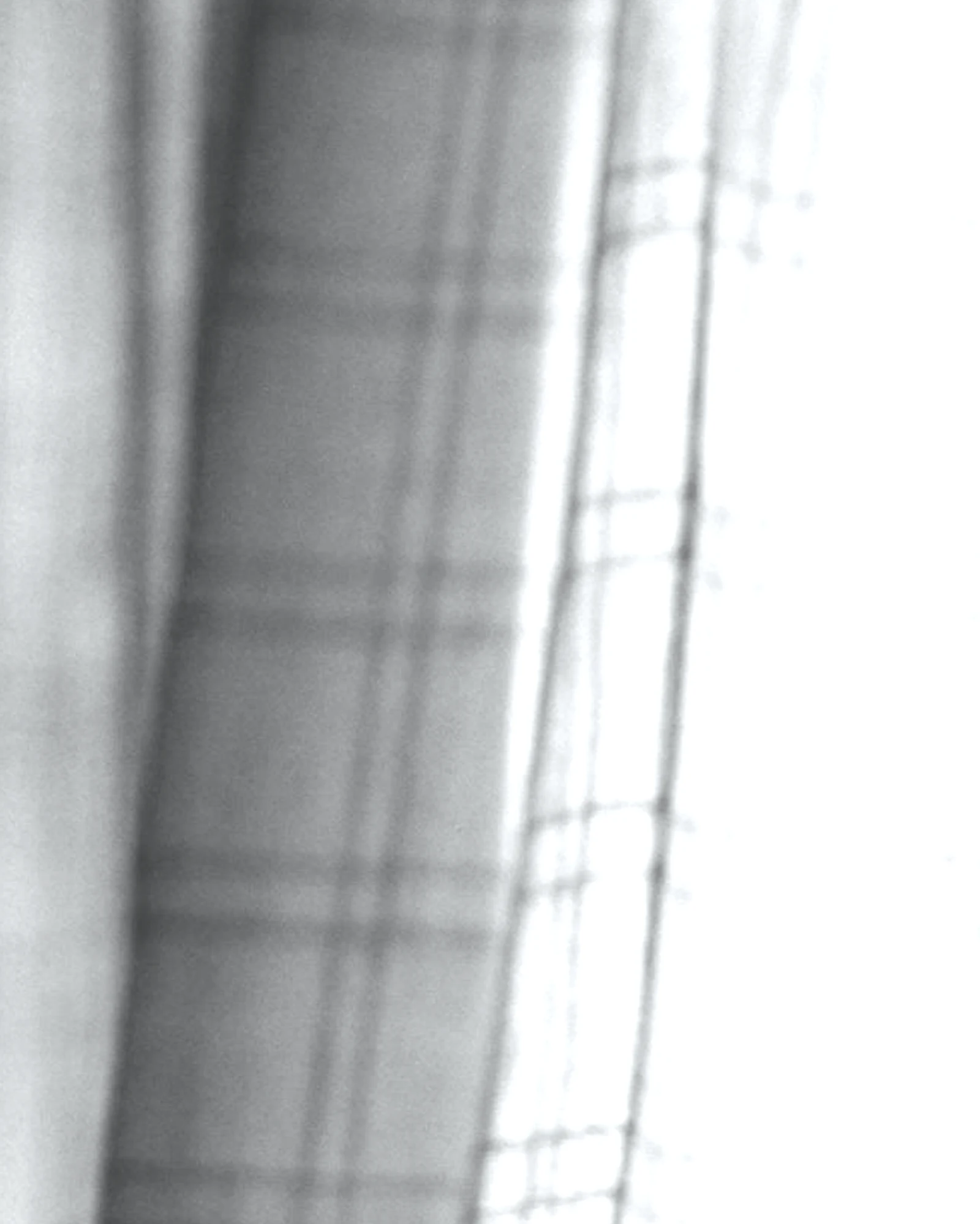 Sheer Weave / Pale Grey: Digital color preview